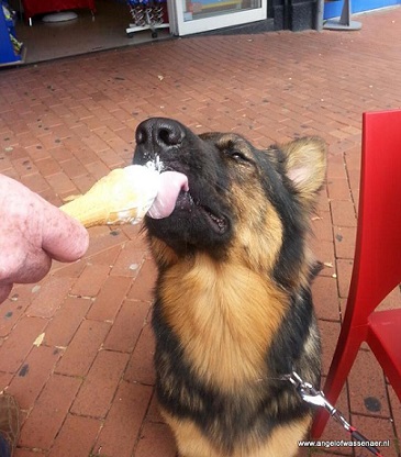 Hhmmm ook een ijsje?